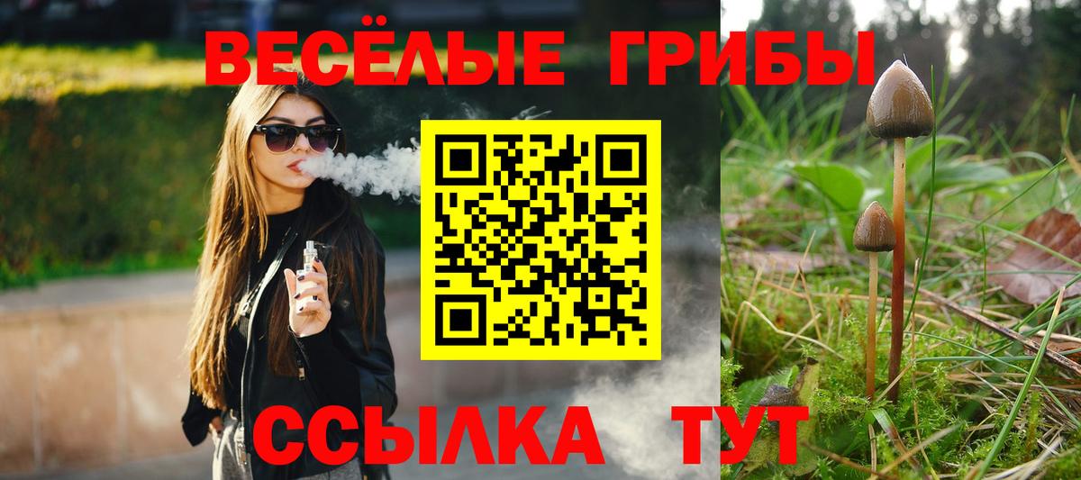 Галлюциногенные грибы Magic Shrooms  где купить наркоту  Галлюциногенные грибы GOLDEN TEACHER  Бердск  Вход с VPN 
