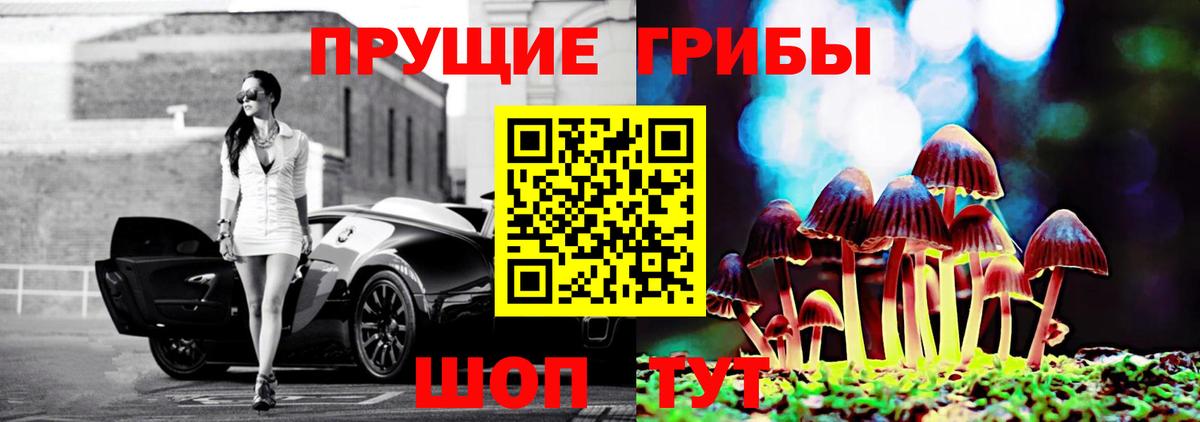Псилоцибиновые грибы Cubensis Бердск